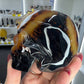 Sardonyx Skull