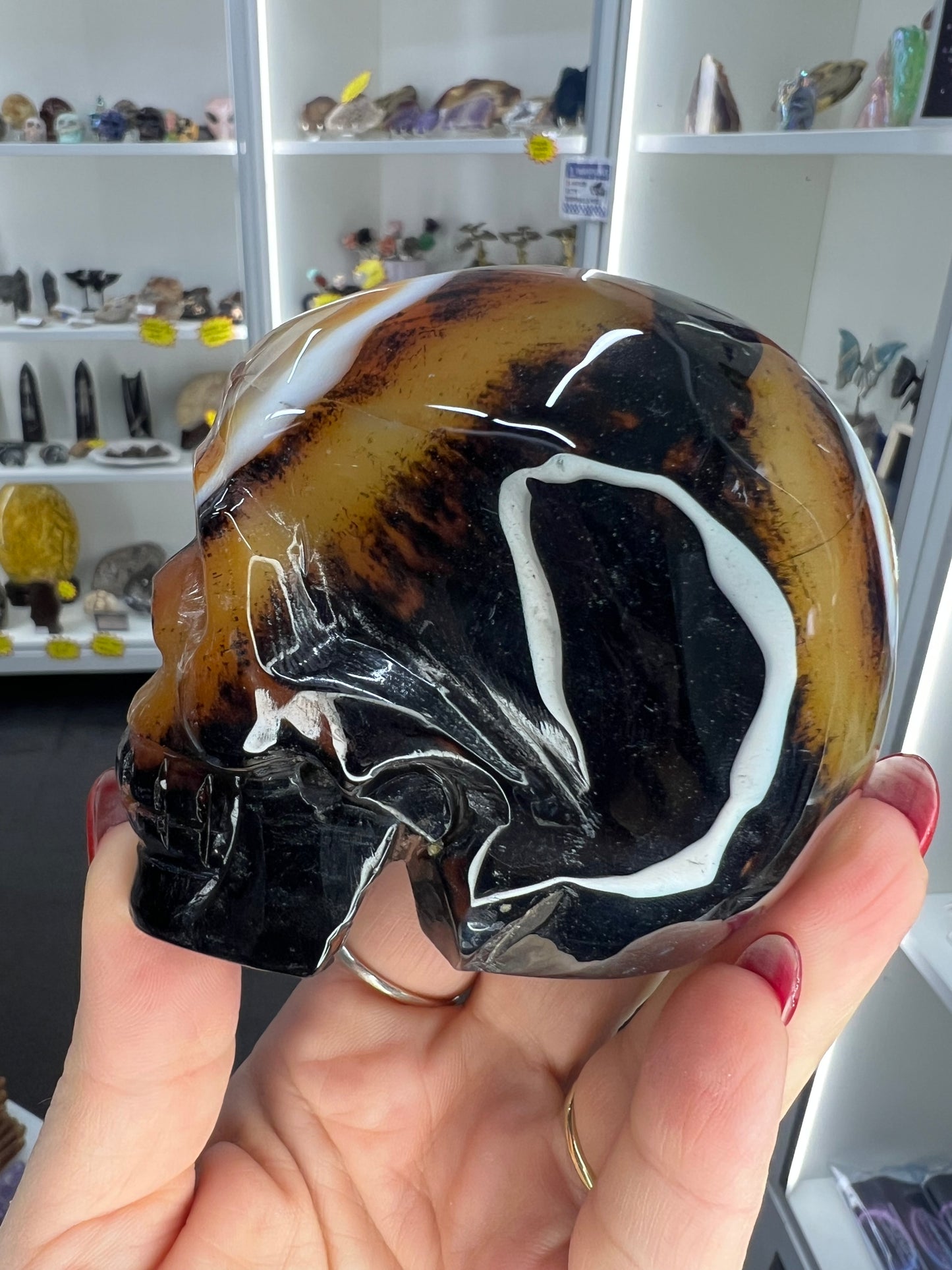 Sardonyx Skull