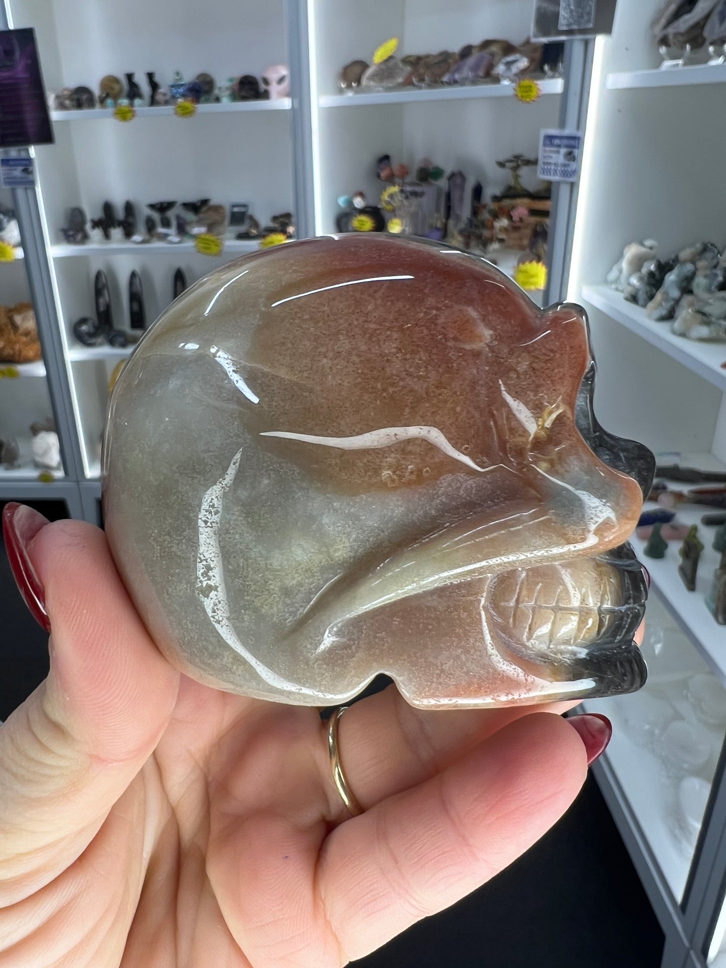 Caribbean Calcite Skull