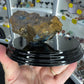 Boulder Opal with Dinosaur