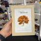 Amber Chip Tree Frame