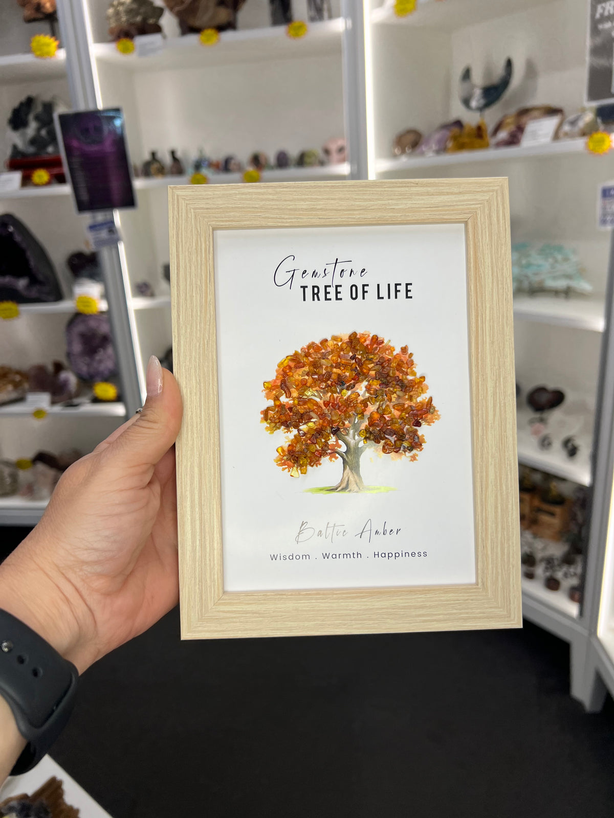 Amber Chip Tree Frame