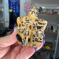 Picture Stone Jasper Turtle