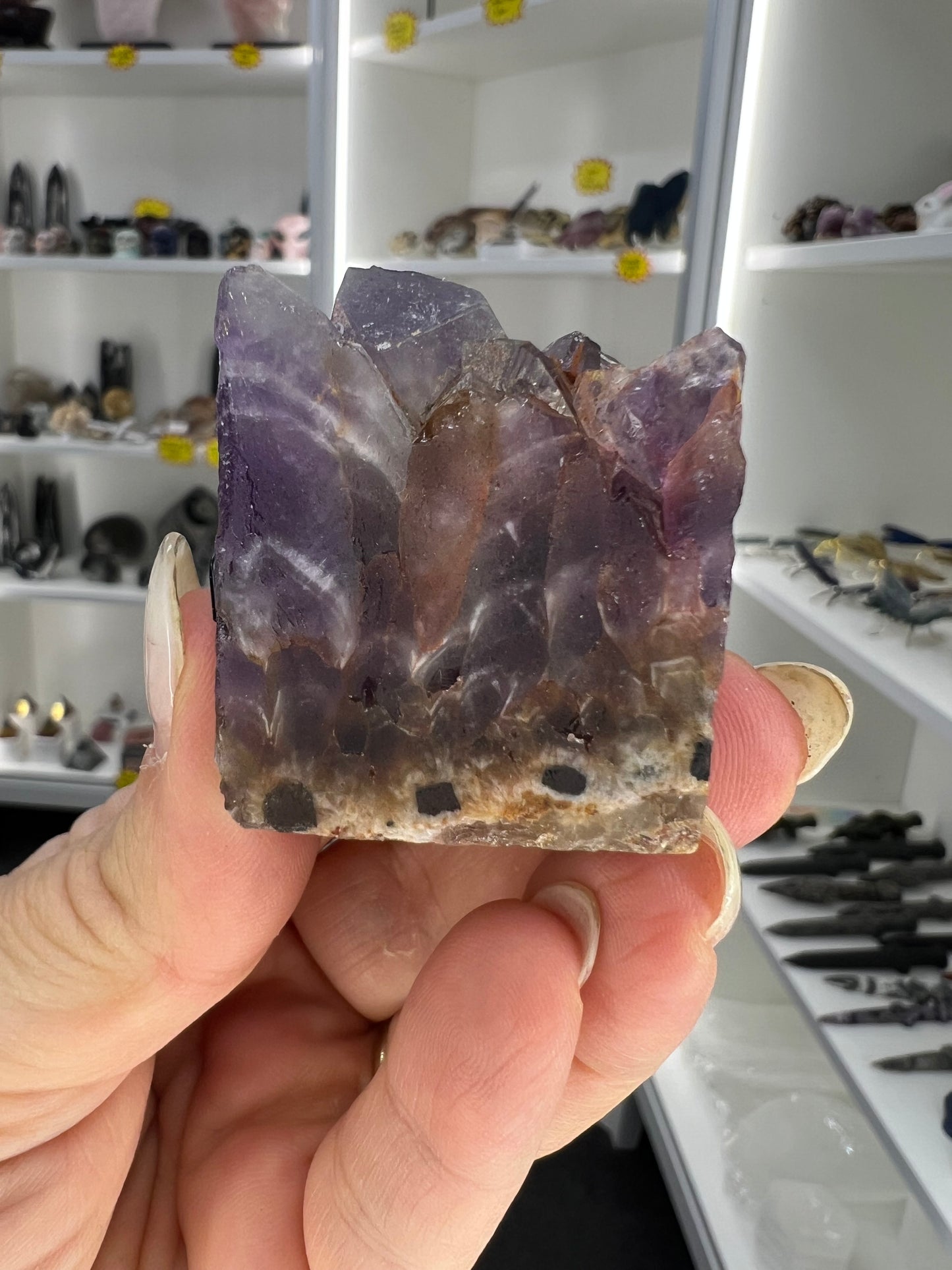 Amethyst Cluster Little Guy