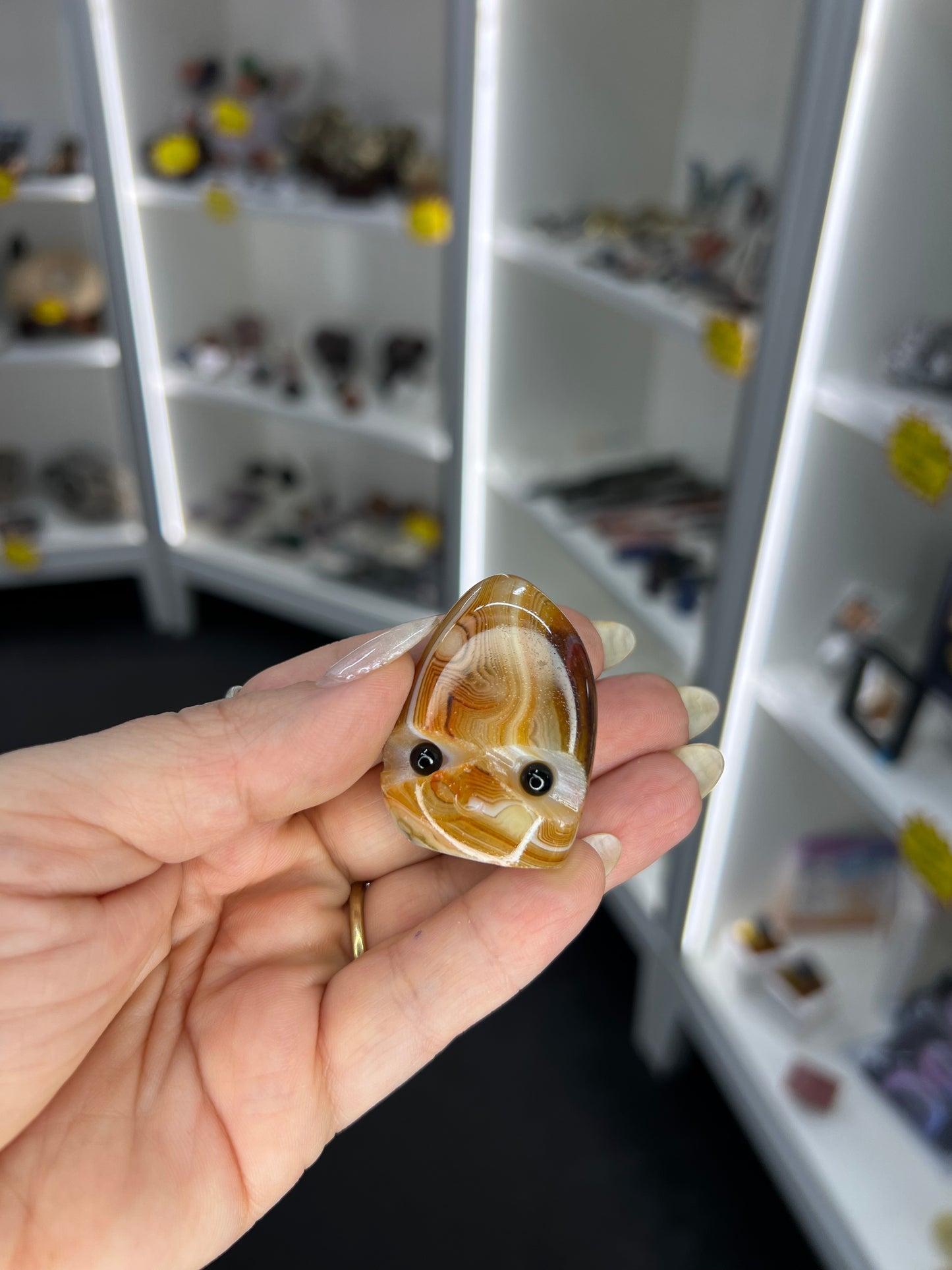 Sardonyx Little Guy