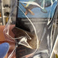 Mosasaurus Anceps Tooth