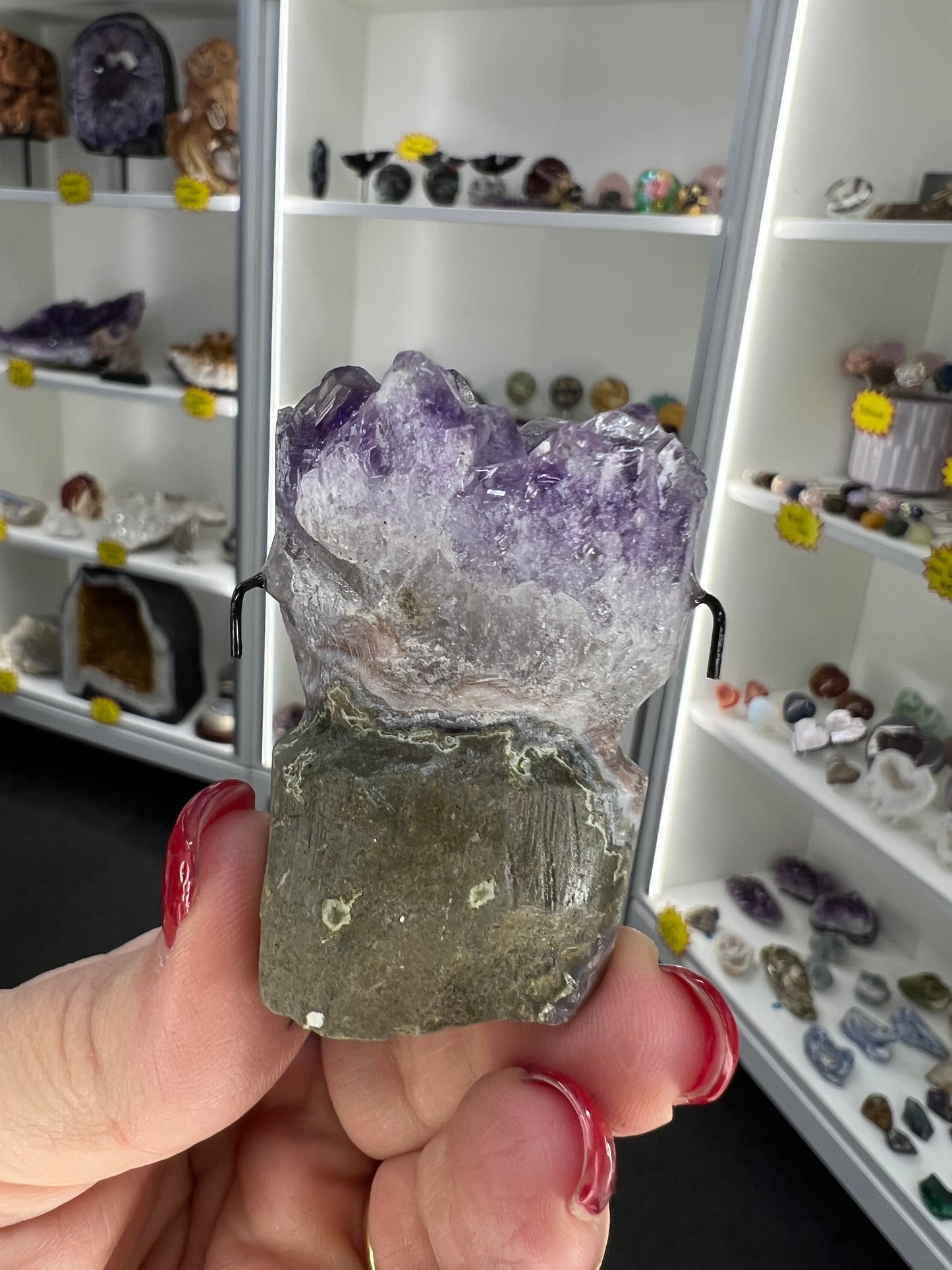 Amethyst Cluster Little Guy
