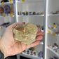 Monasaur Tooth in Matrix