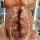 Carnelian Mushroom