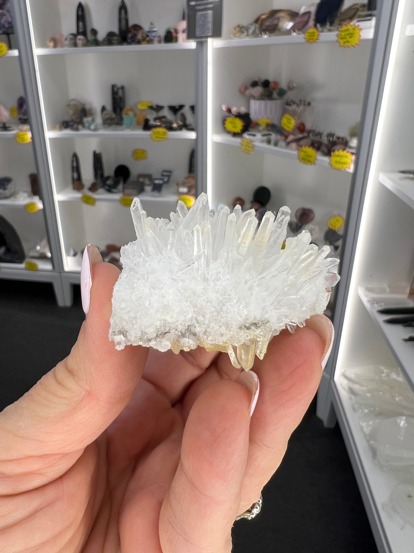 Clear Quartz Cluster