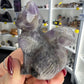 Chevron / Dream Amethyst Cat
