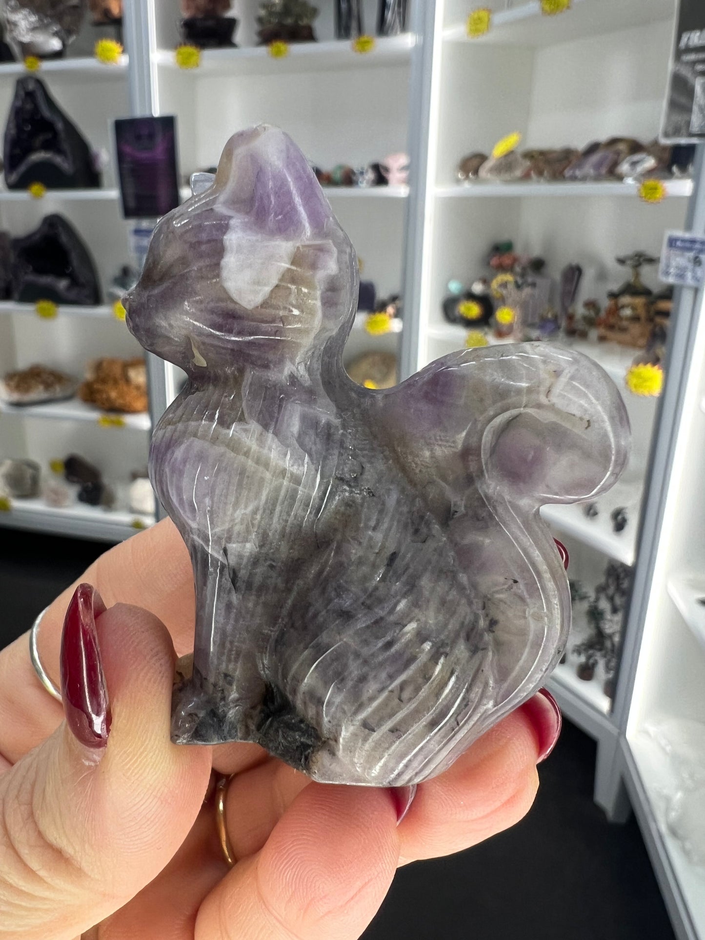 Chevron / Dream Amethyst Cat