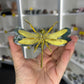 Moss Agate Dragonfly