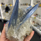 Blue Kyanite x Clear Quartz Specimen