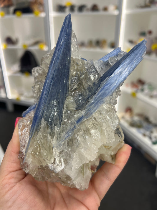 Blue Kyanite x Clear Quartz Specimen