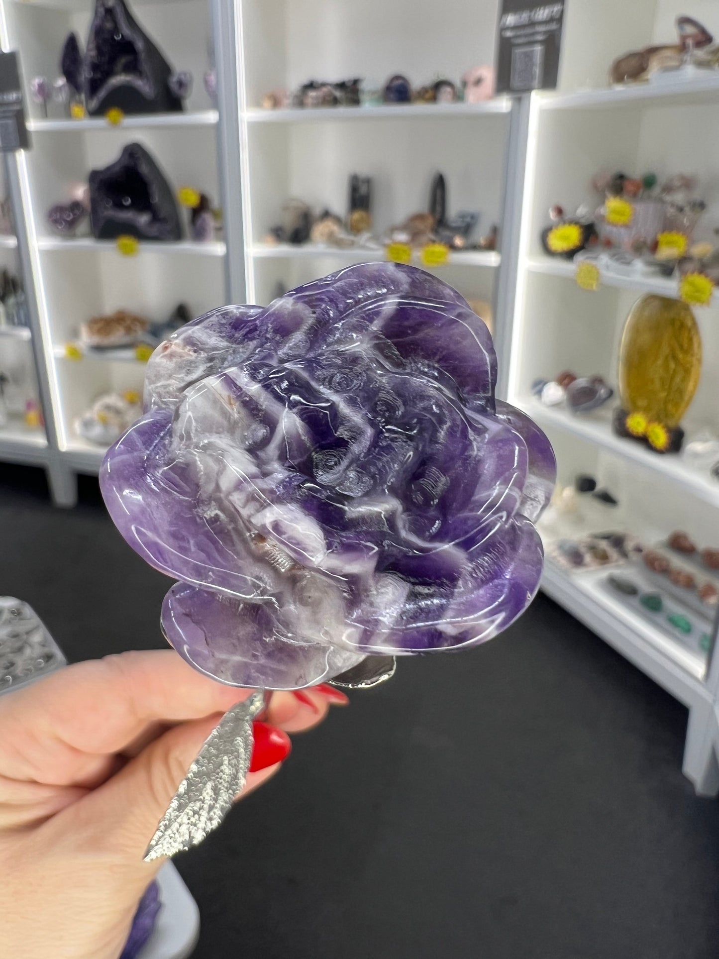 Chevron / Dream Amethyst Forever Rose
