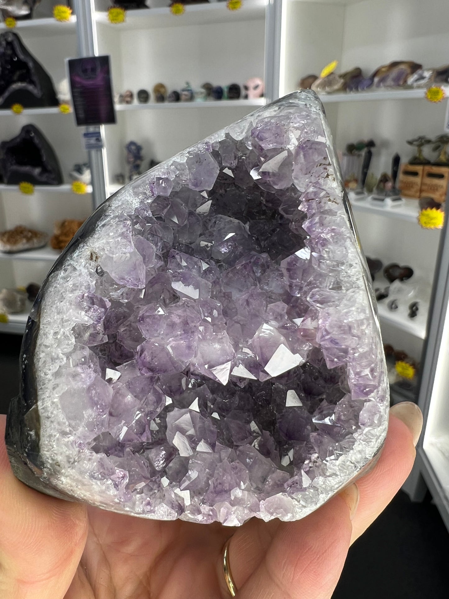 Amethyst Cluster Specimen