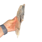 Lepidolite Slab