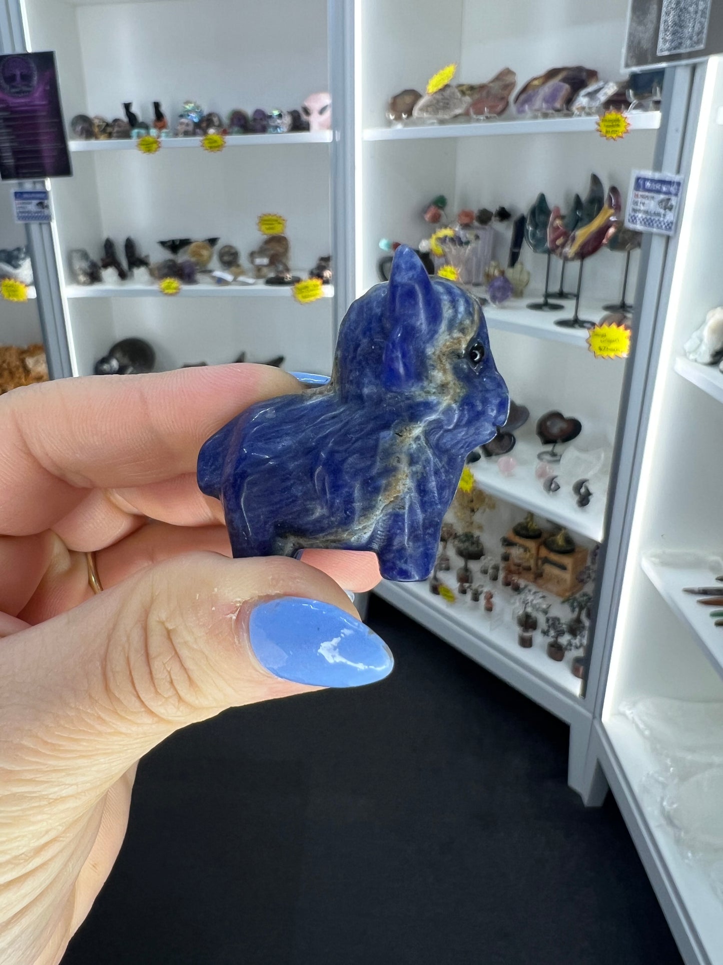 Sodalite Highland Cow