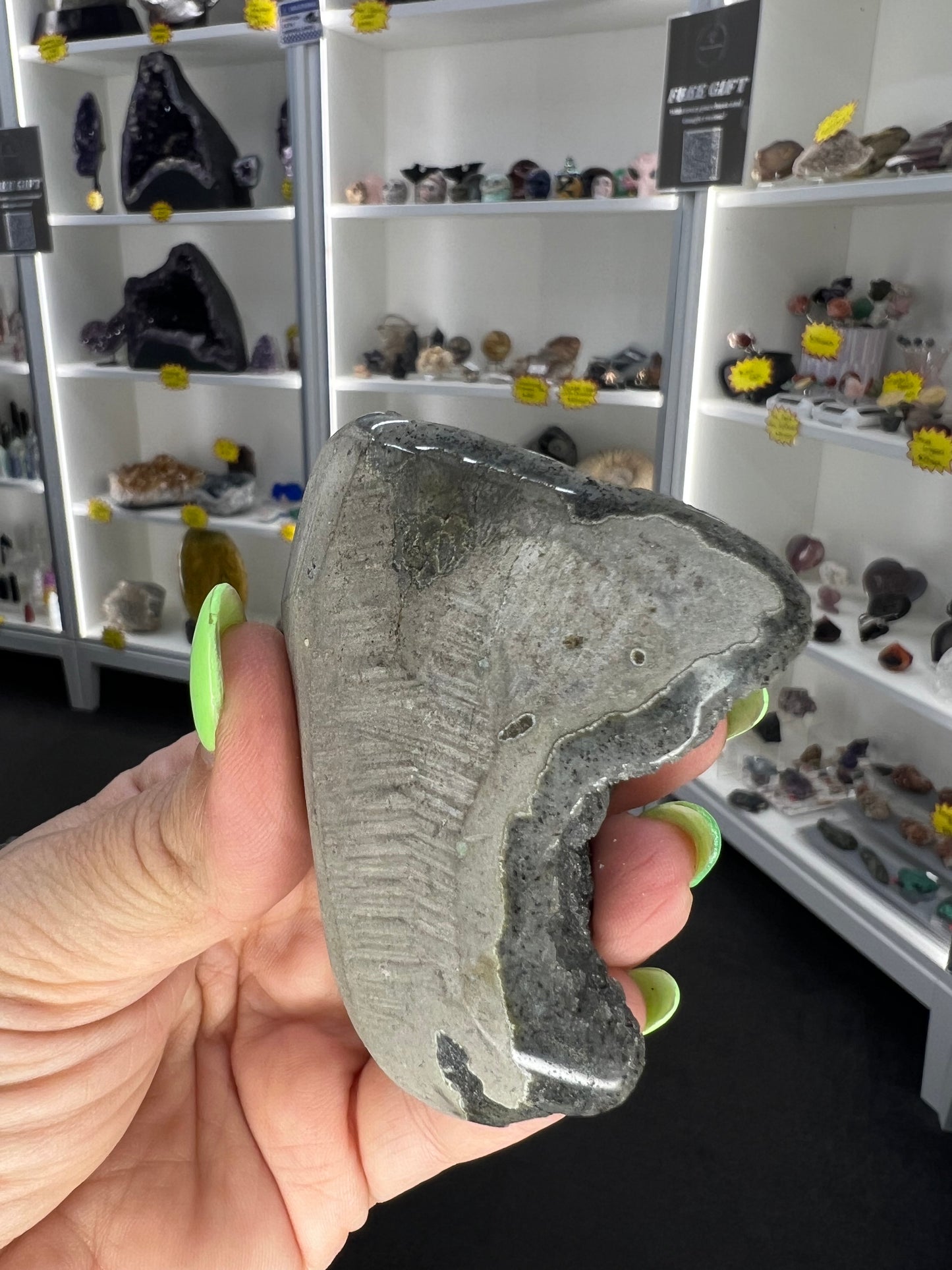 Black Amethyst Cluster