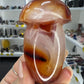 Carnelian Mushroom