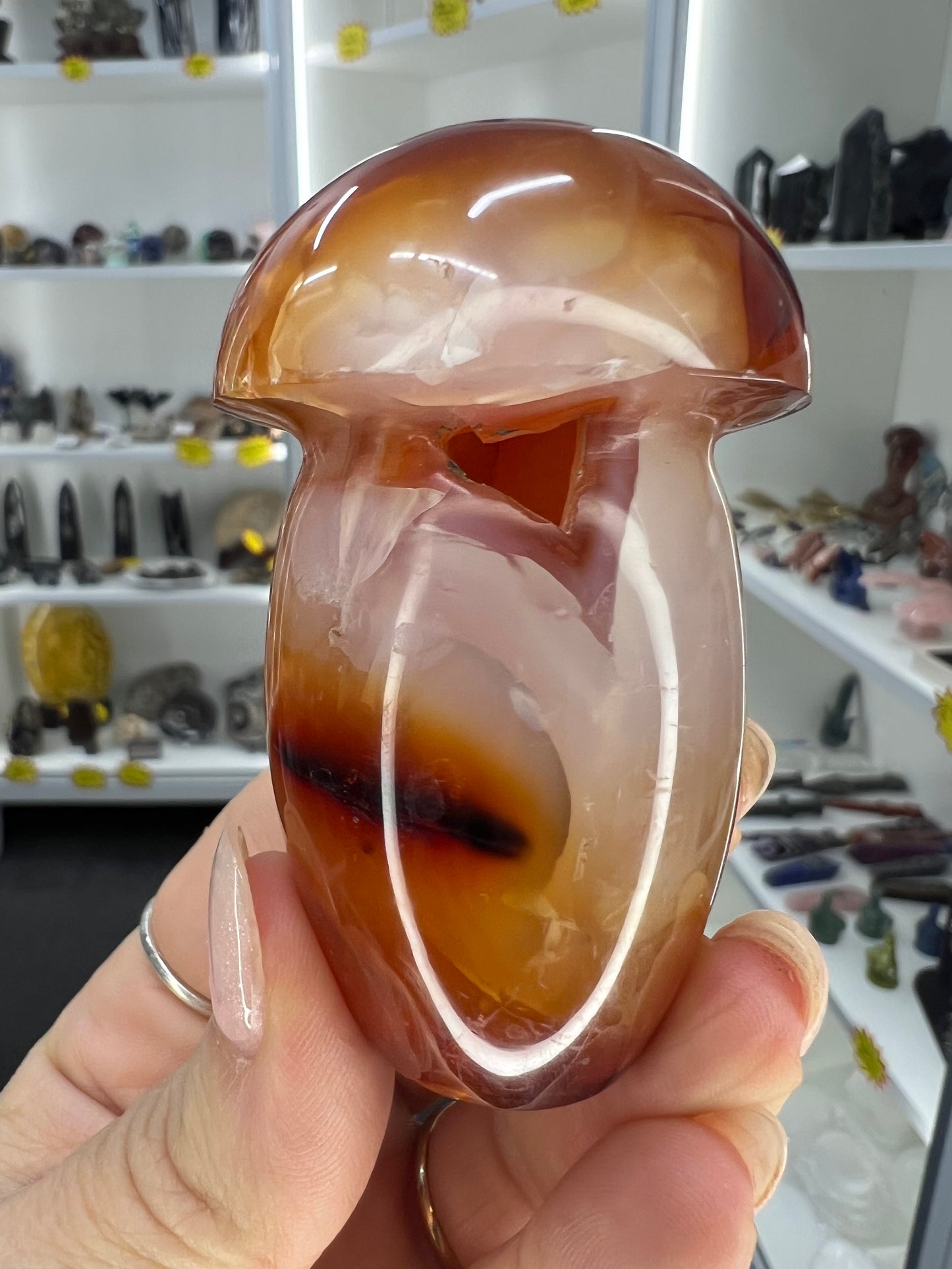 Carnelian Mushroom
