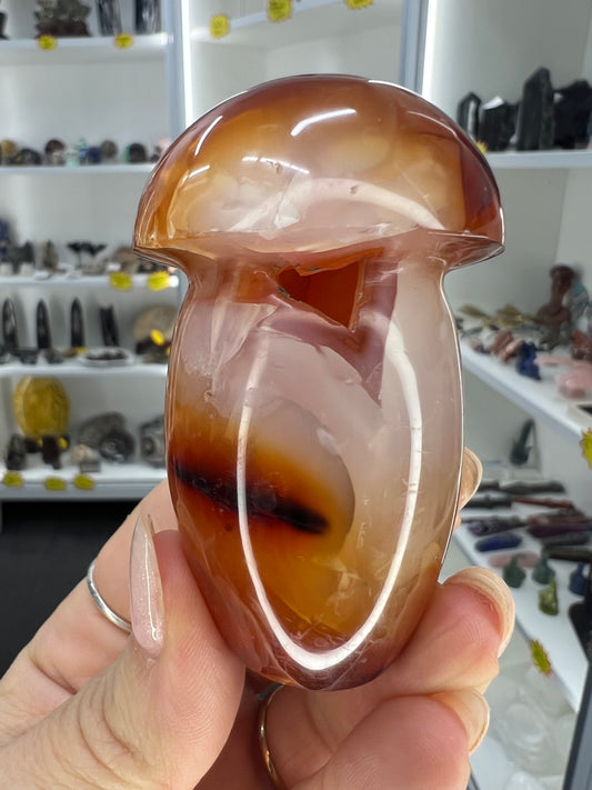 Carnelian Mushroom