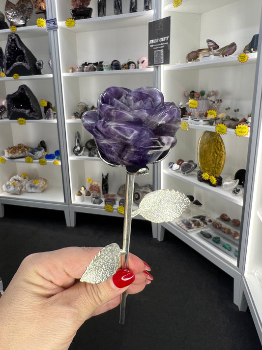 Chevron / Dream Amethyst Forever Rose