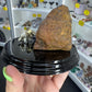 Boulder Opal with Dinosaur