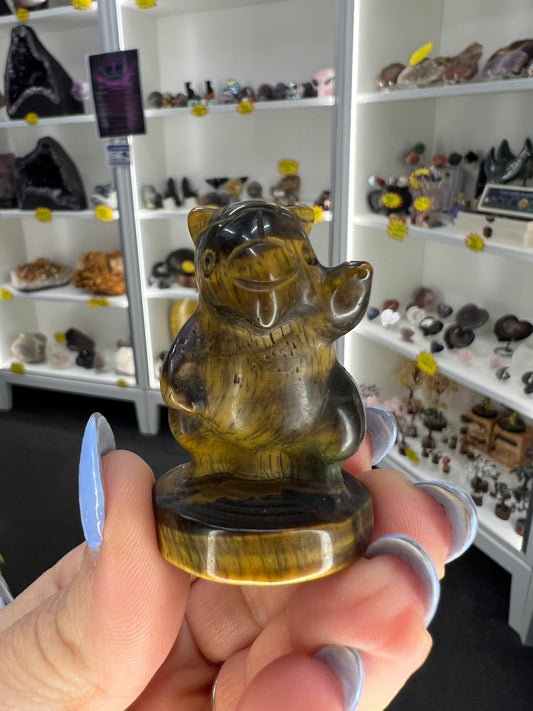 Tigers Eye Character