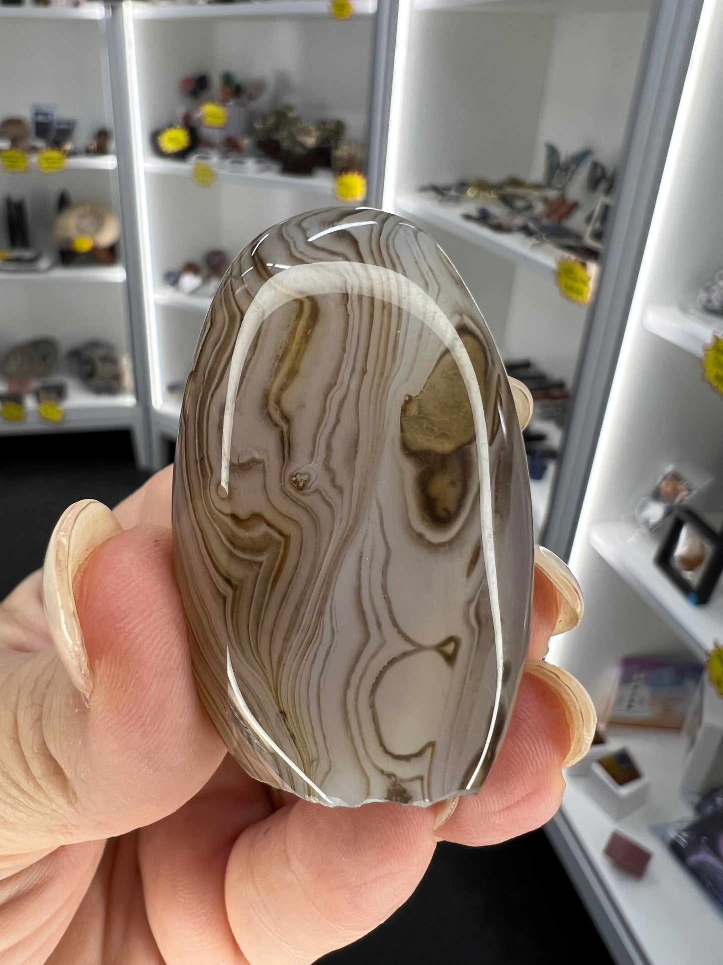 Sardonyx Little Guy