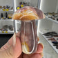 Ocean Jasper Mushroom