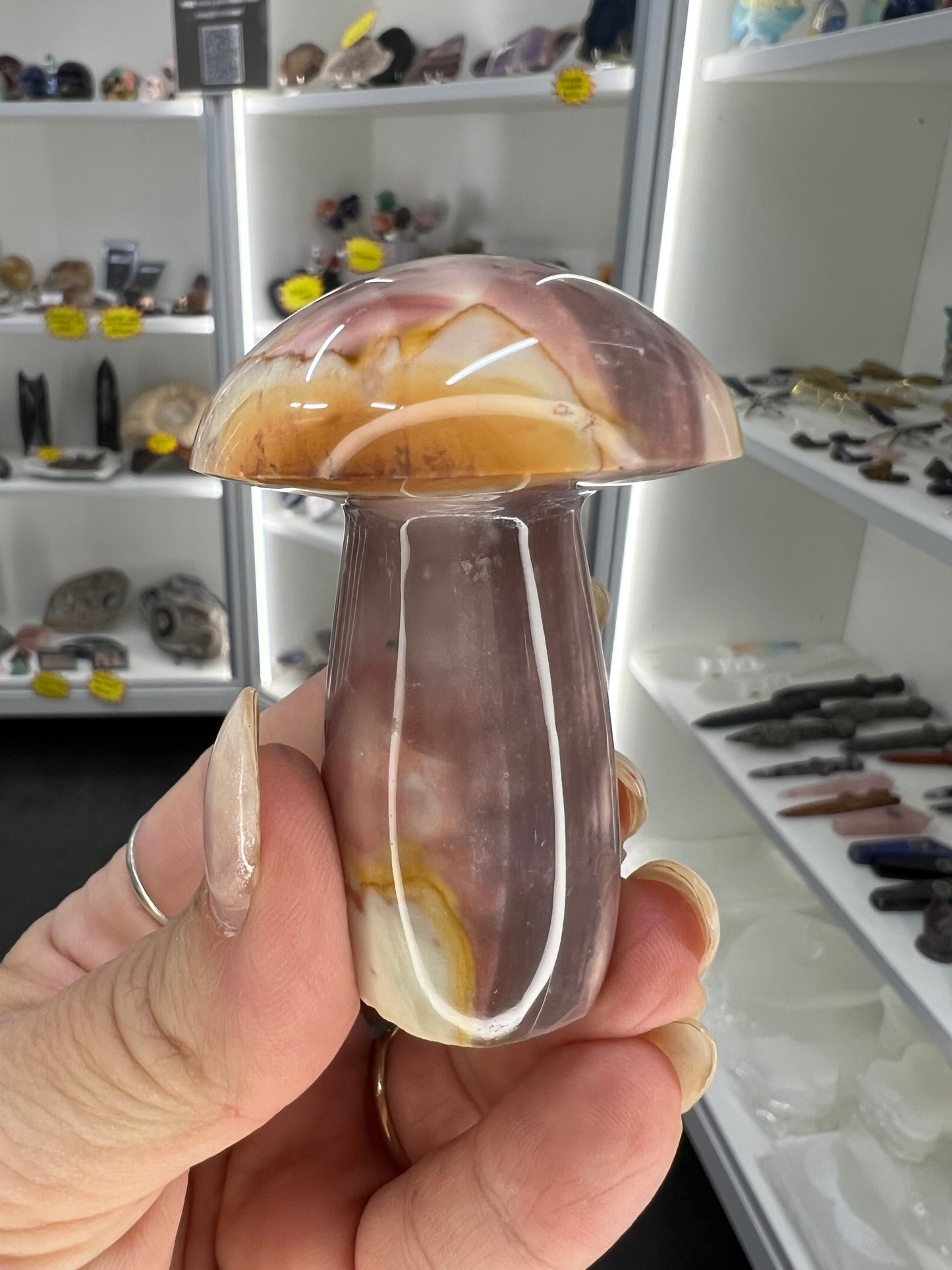 Ocean Jasper Mushroom