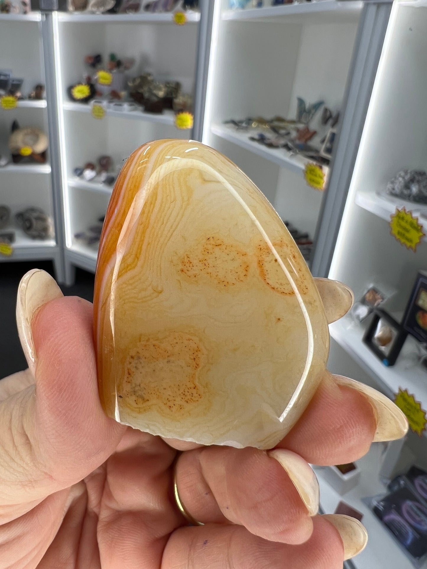 Sardonyx Little Guy