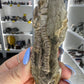 Jimbacriinus Bostocki Crinoid in Matrix