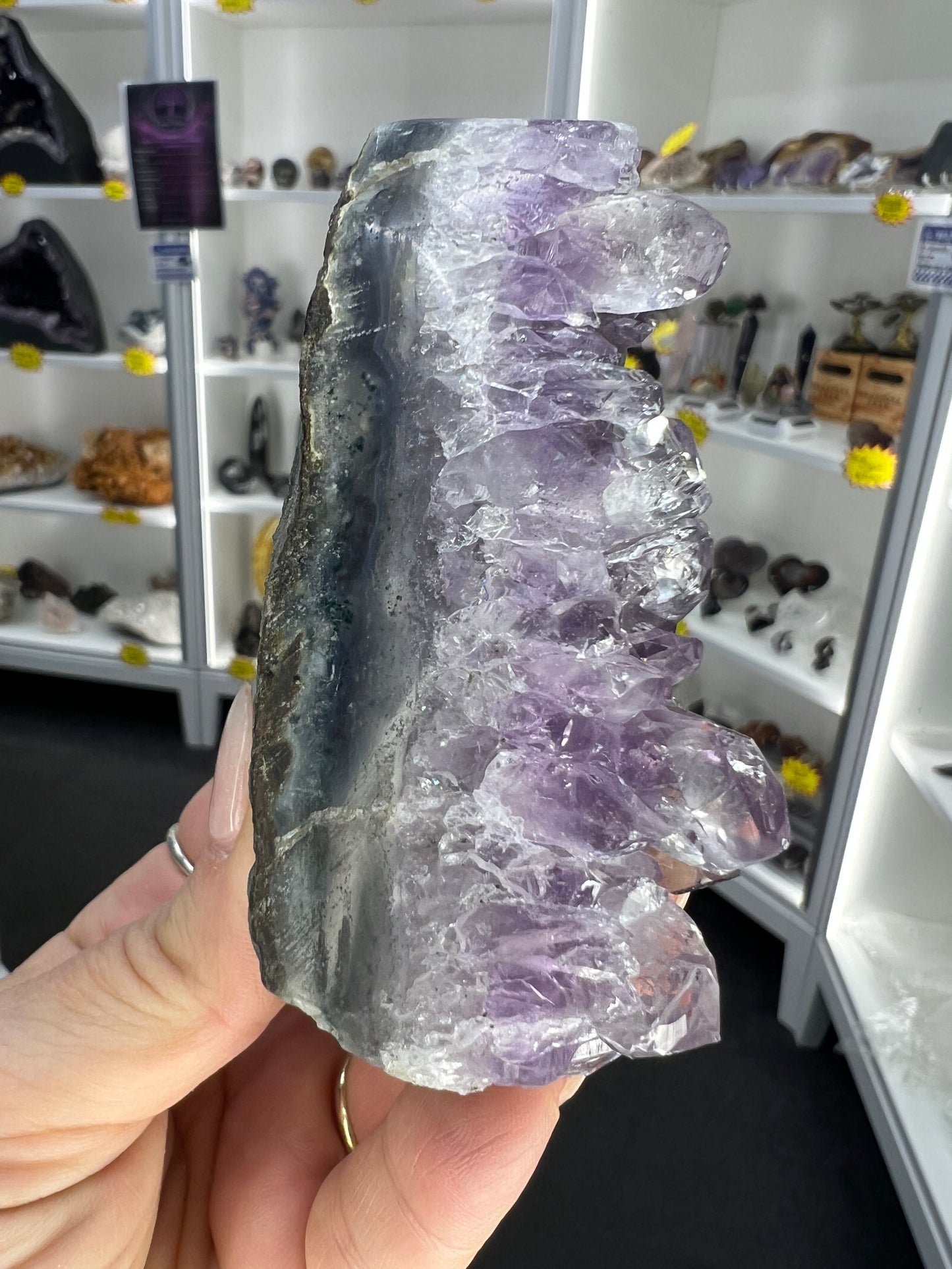 Amethyst Cluster Specimen