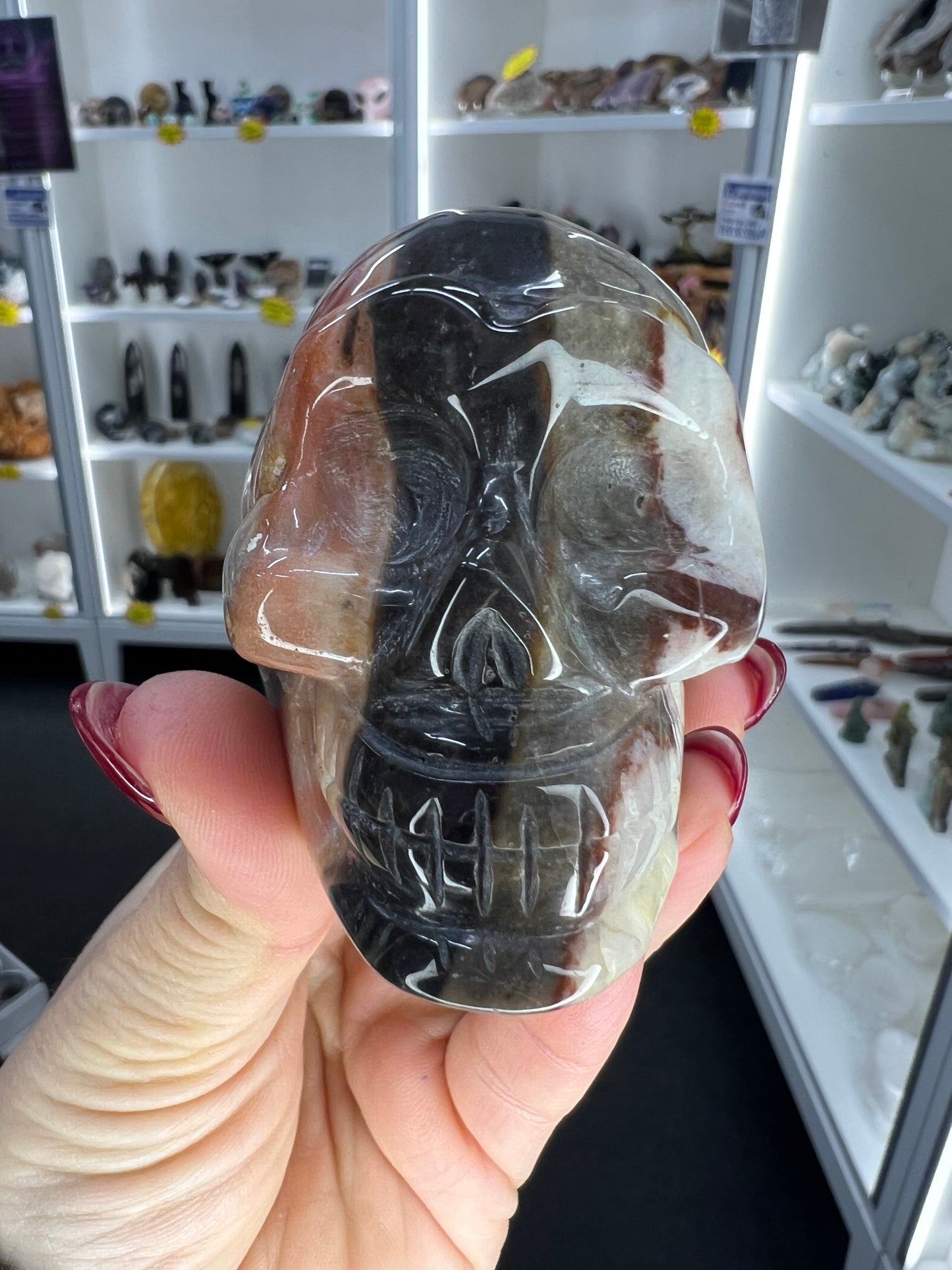 Caribbean Calcite Skull