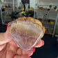 Amethyst x Mexican Lace Agate Shell