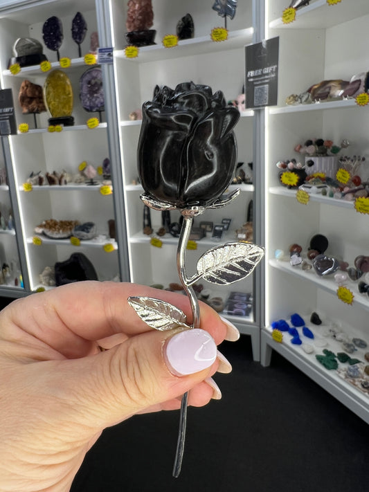 Astrophyllite Garnet Forever Rose