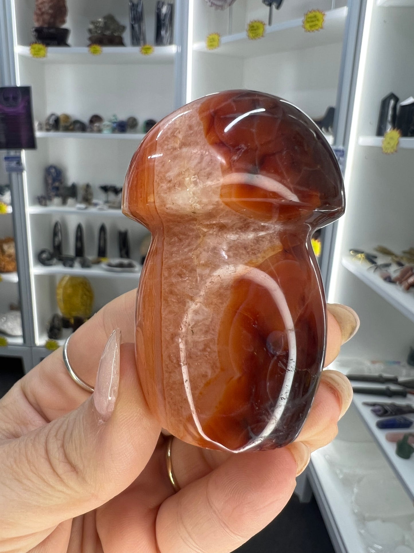 Carnelian Mushroom