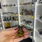 Tigers Eye Character