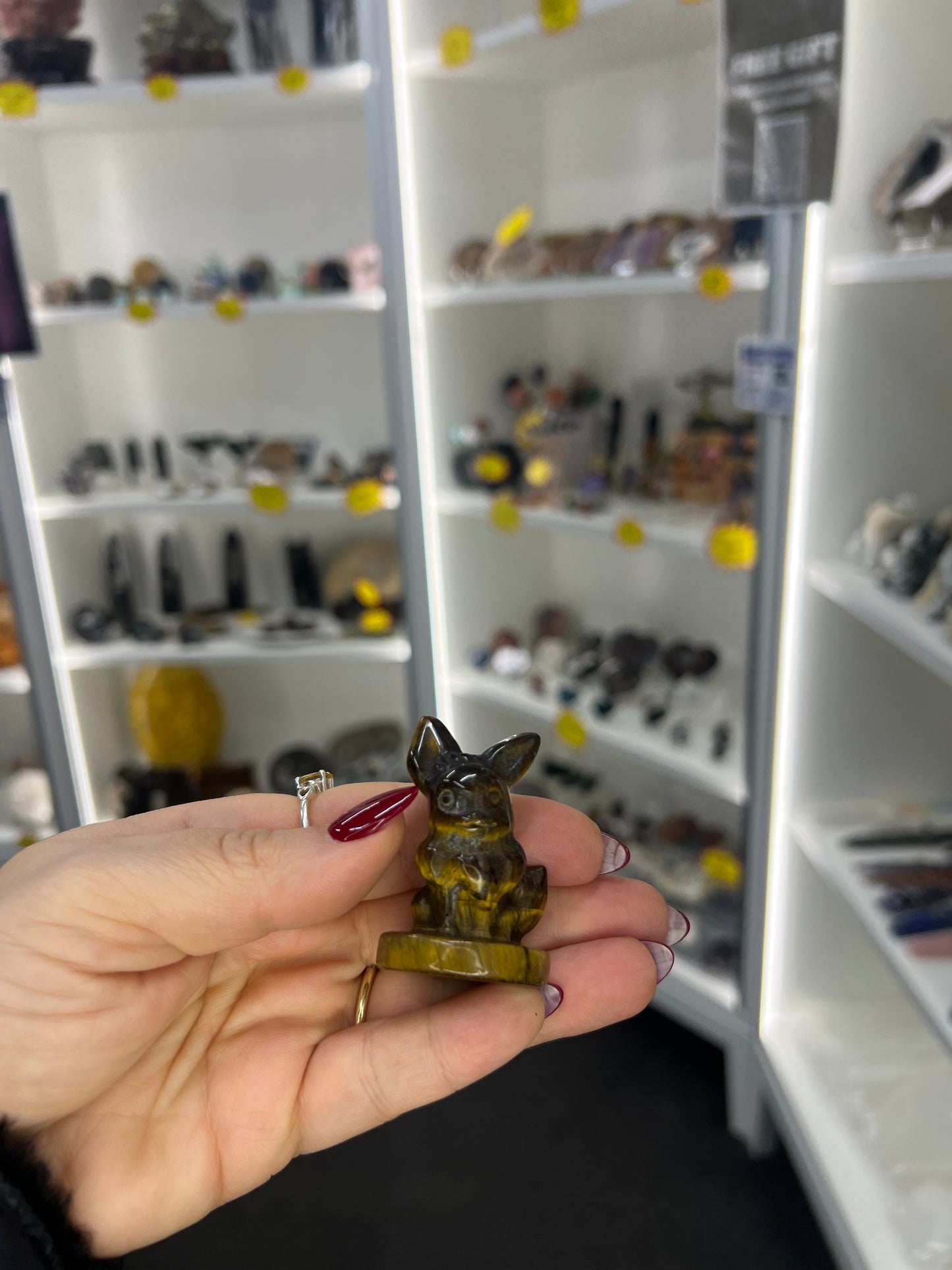 Tigers Eye Character