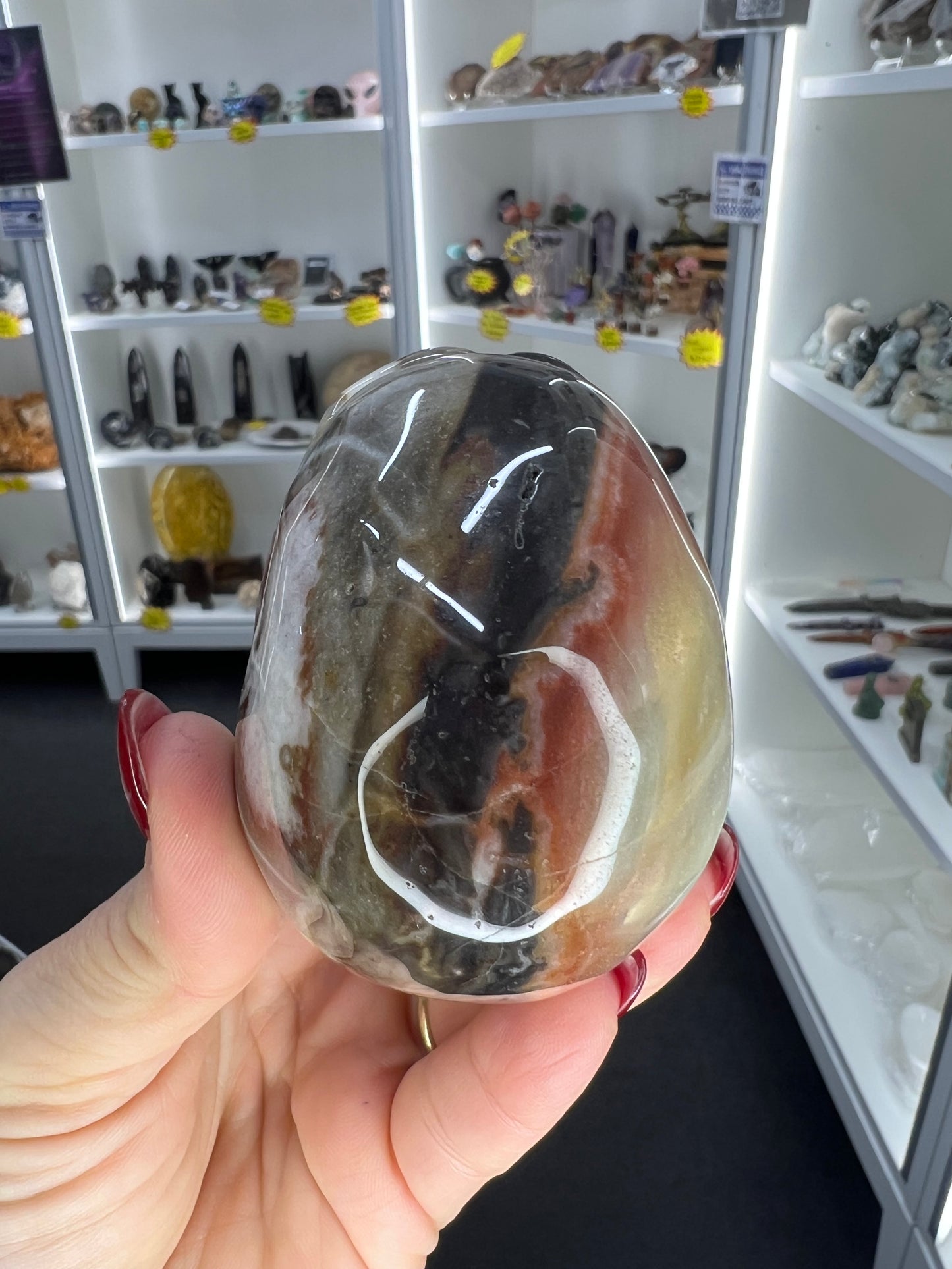 Caribbean Calcite Skull