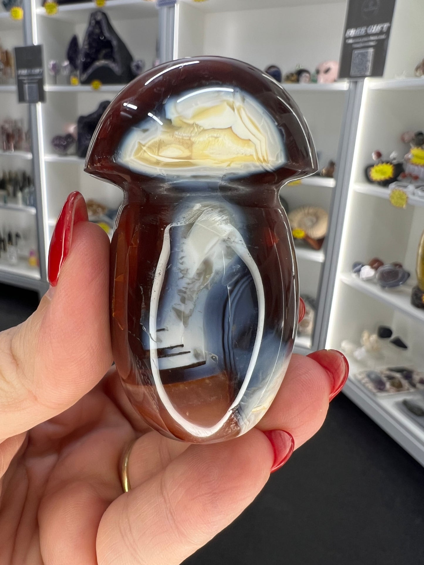 Carnelian Mushroom