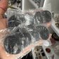 Ammonite Pair