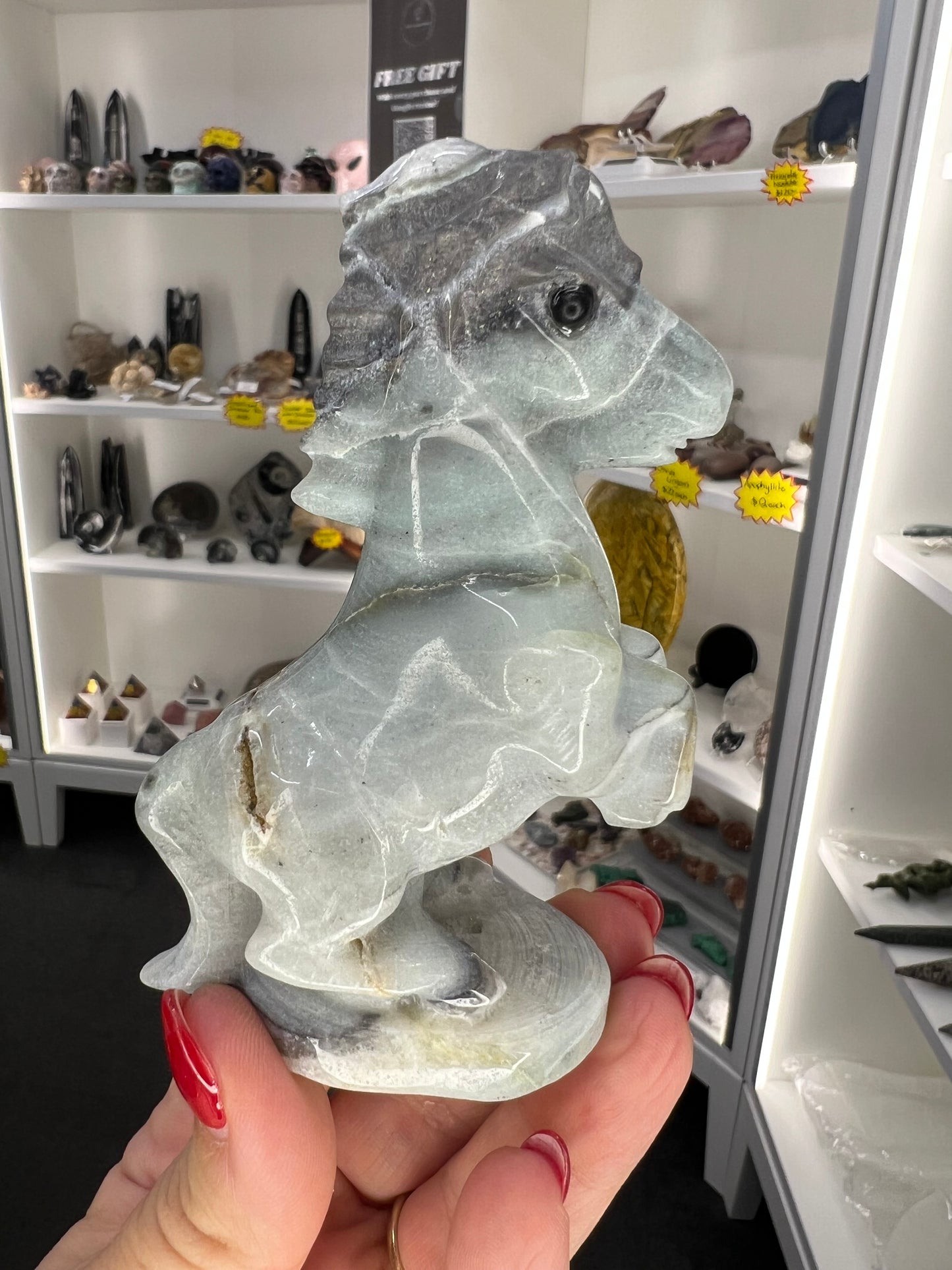 Caribbean Calcite Horse