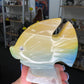 Onyx Fish
