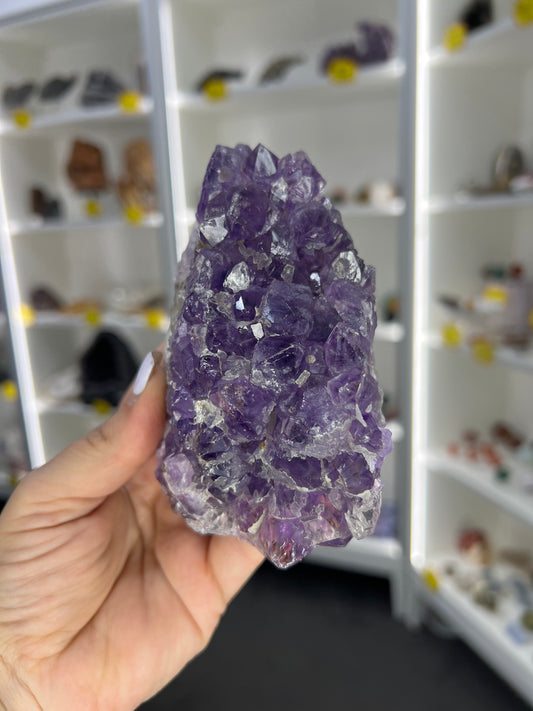 Amethyst Cluster