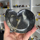 Goniatite Plate