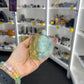 Caribbean Calcite Turtle